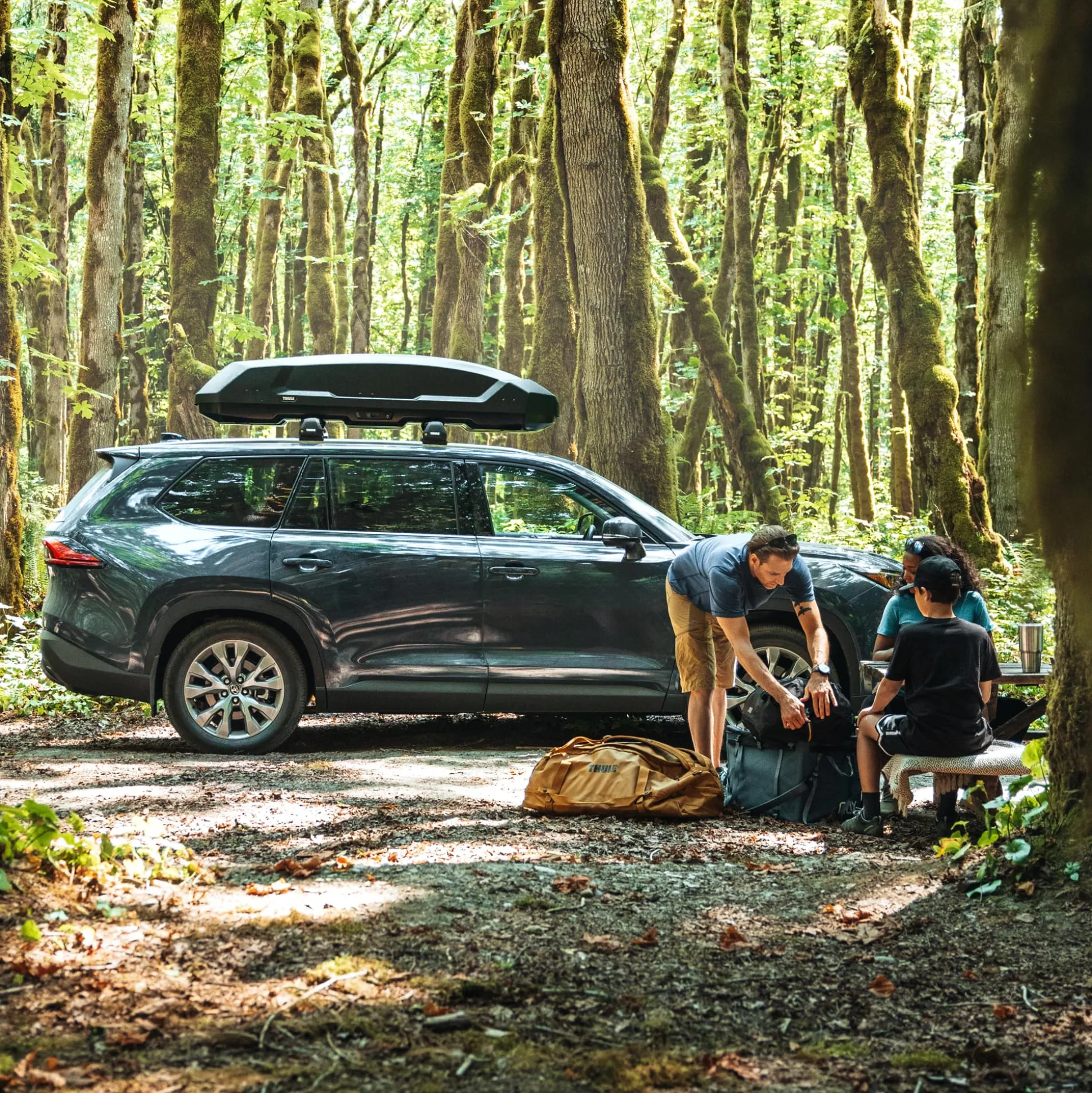 Box auto portatutto Thule Force 3 L - Nero