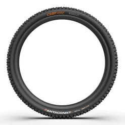 Copertone Pirelli Cast Antagonist DualWall - 29x2.40