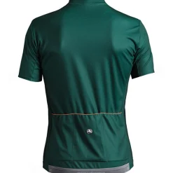 Maglia Giordana Fusion - Verde