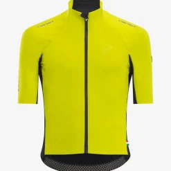 Maglia Pinarello Dogma Winter - Verde