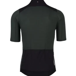 Maglia Q36.5 Adventure - Verde