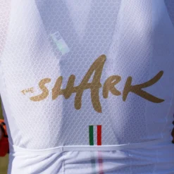 Maglia Q36.5 Gregarius Clima Nibali - Olympic