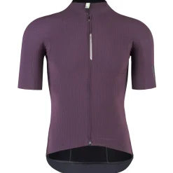 Maglia Q36.5 Pinstripe Pro - Bordeaux