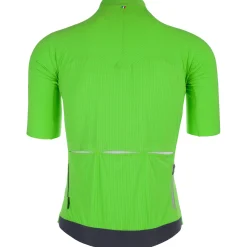Maglia Q36.5 Pinstripe Pro - Verde