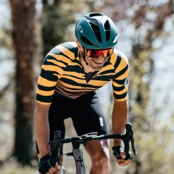 Maglia Q36.5 R2 Tiger - Arancio