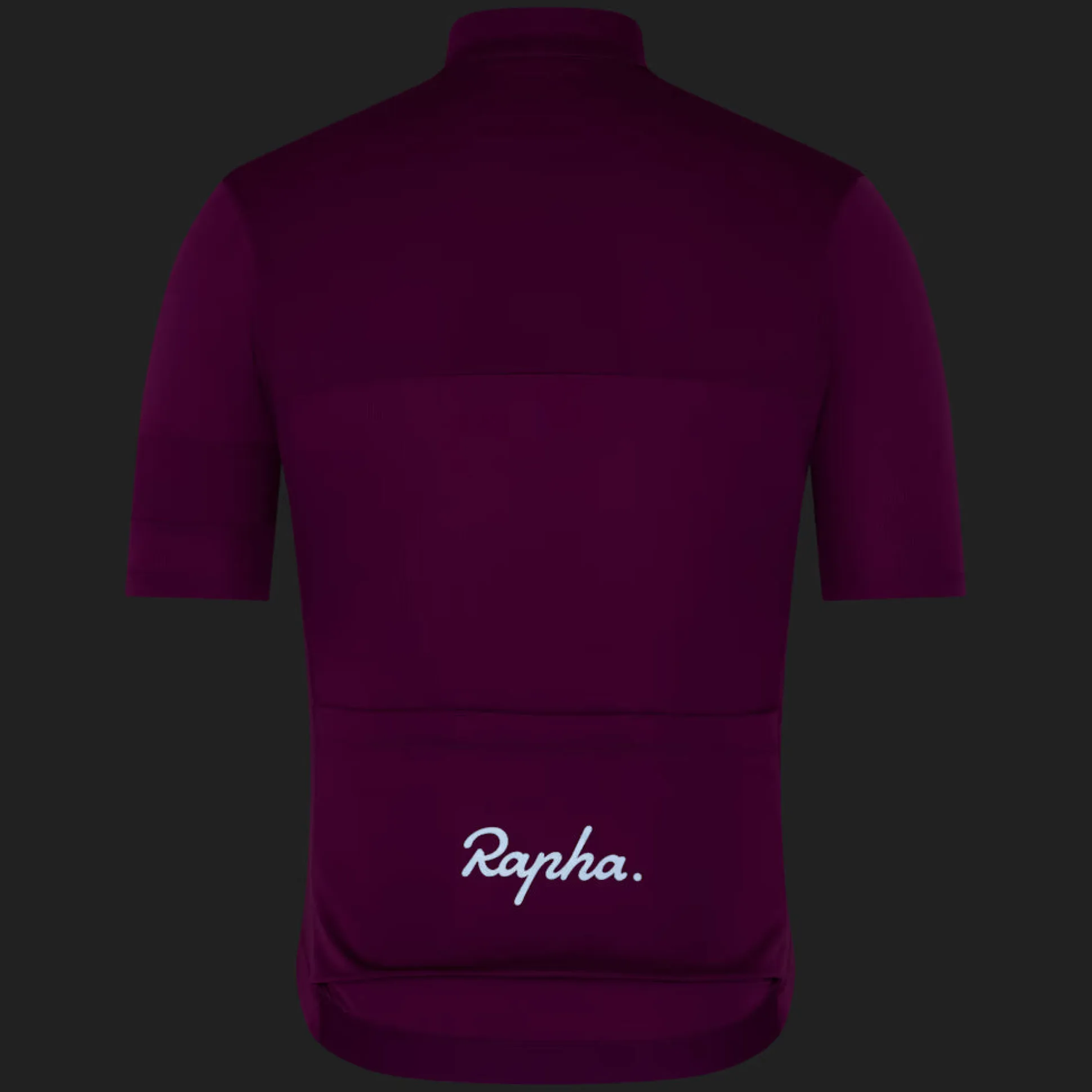 Maglia Rapha Brevet Element - Viola